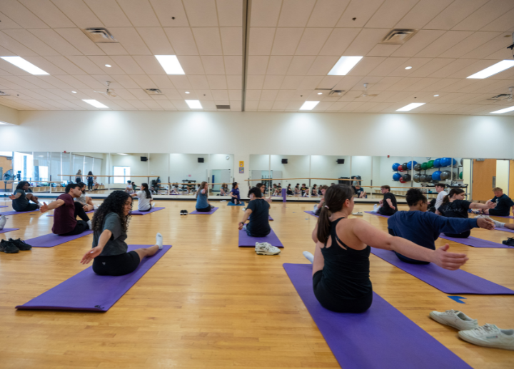 a group of students on their yoga mats, posing during class.