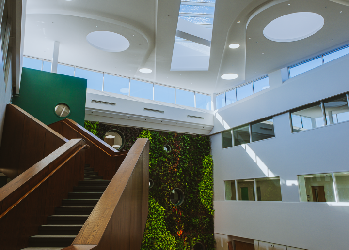 inside of Thames Hall, showing the stair case, green living wall and light shining through the ceiling windows.