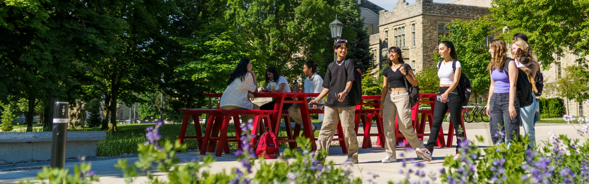 a group of students walking outside on a sunny day.