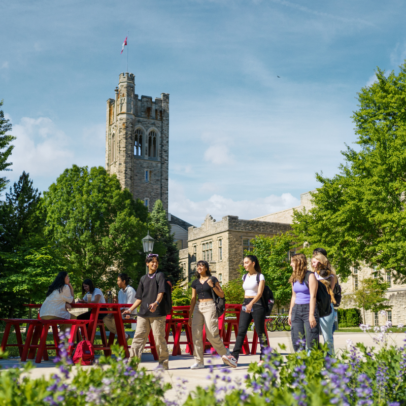 a group of students walking outside on a sunny day.